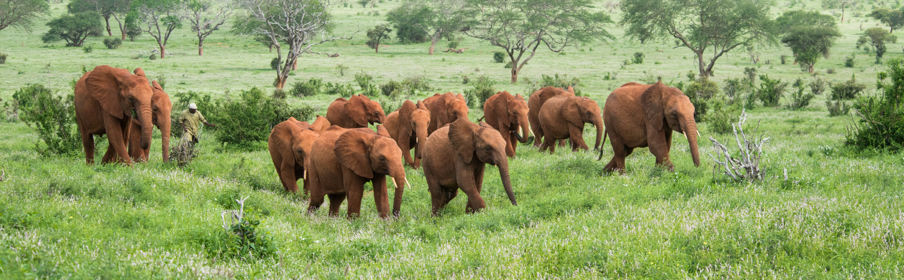 SWT Coffee Table Book Design